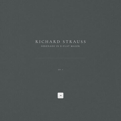 Serenade in E-Flat Major, Op. 7 album art
