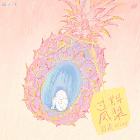 过期凤梨 album art