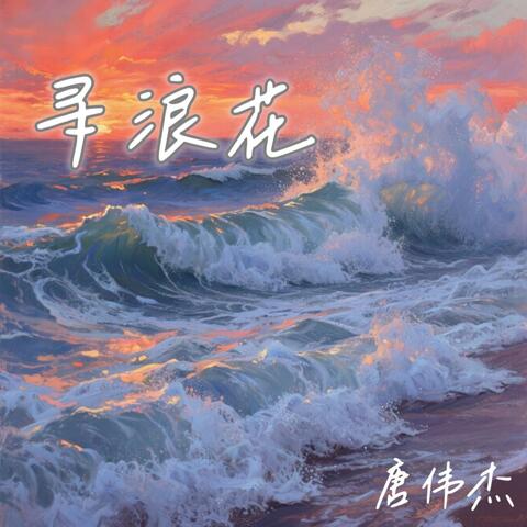 寻浪花 album art