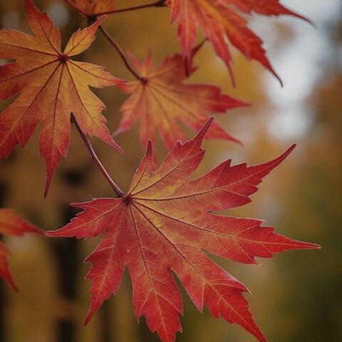 遗城·城北 album art