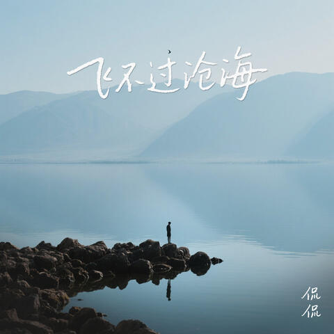 飞不过沧海 album art