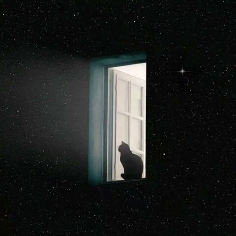 泪光 album art