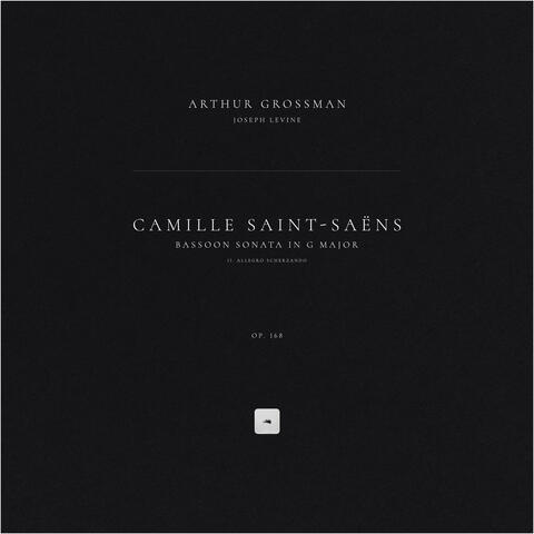 Bassoon Sonata in G Major, Op. 168: II. Allegro scherzando album art