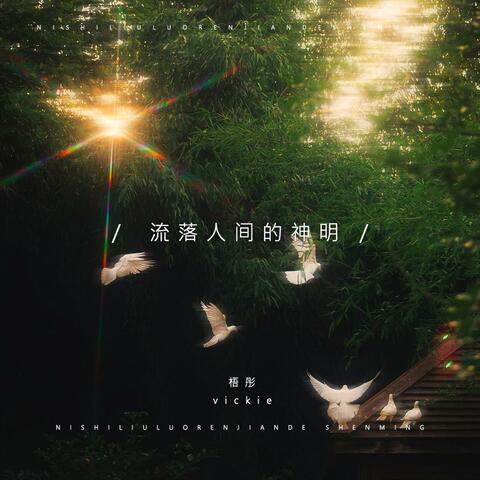 流落人间的神明 album art