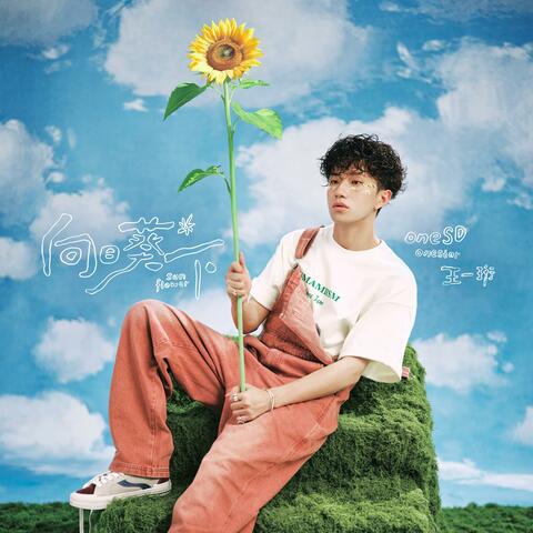 向日葵下 album art