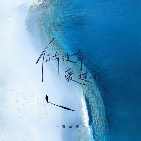 你有没有爱过我 album art