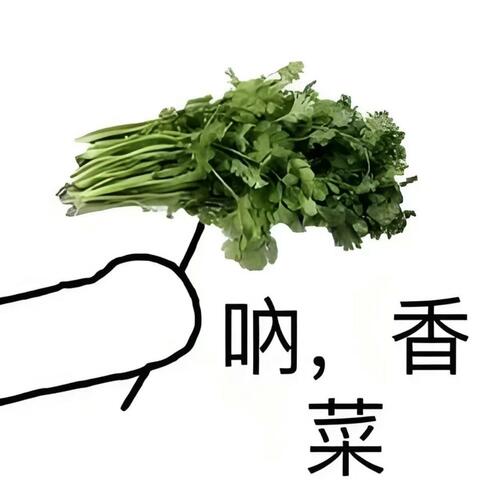 不吃香菜 album art