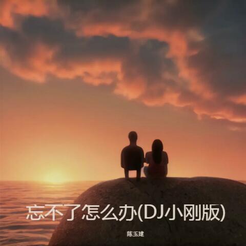 忘不了怎么办 album art