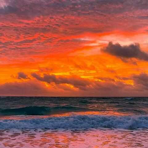 夏天该结束了对吧 album art