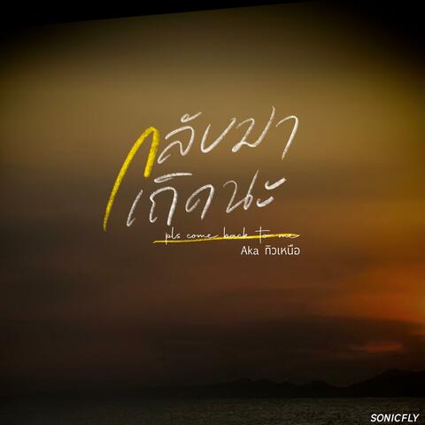 กลับมาเถิดนะ（Pls Come Back to Me） album art