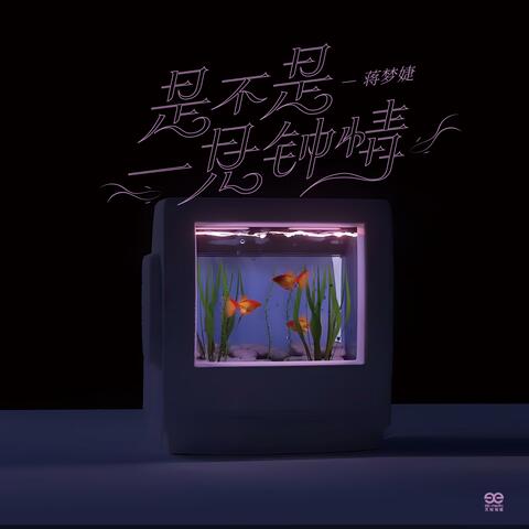 是不是一见钟情 album art