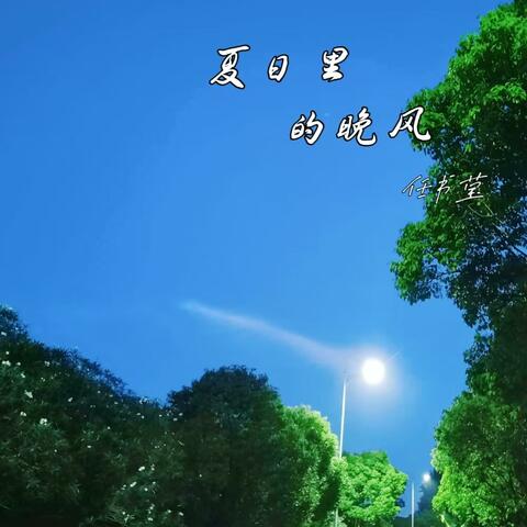 夏日里的晚风 album art