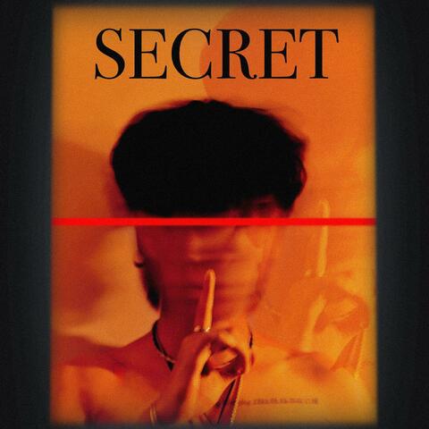 Secret album art