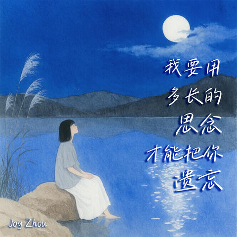 要用多长的思念才能把你遗忘 album art