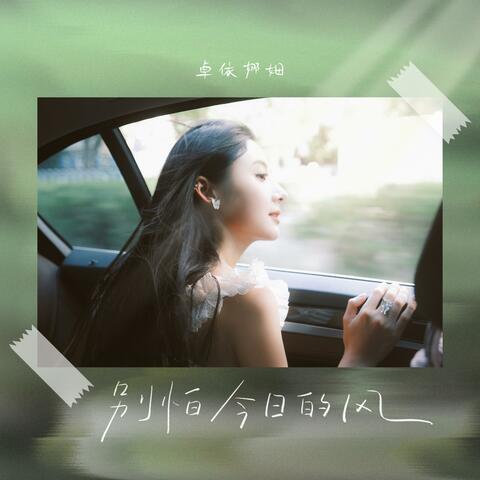 别怕今日的风 album art