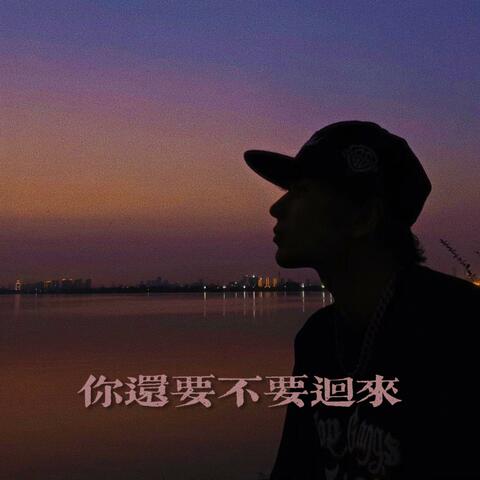 你还要不要回来 album art