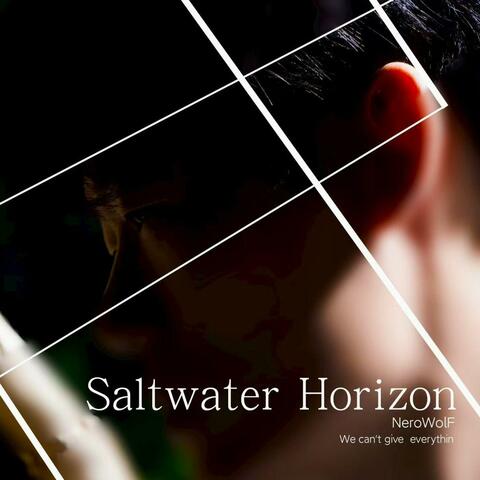 Saltwater Horizon album art