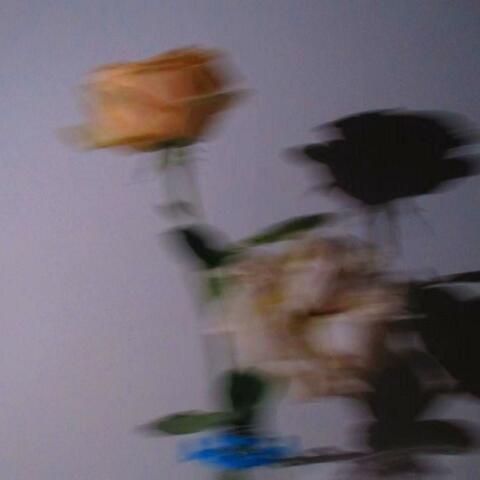 Alone album art