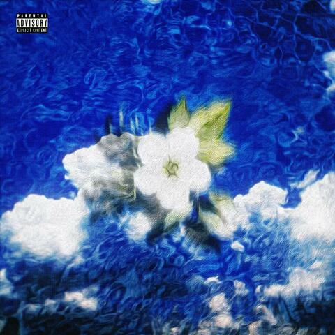 花自眠2.0 album art