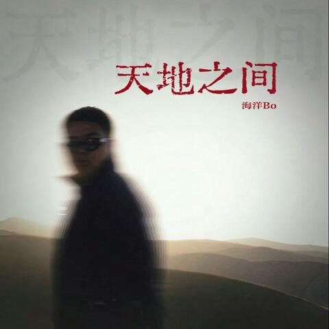 天地之间 album art