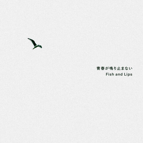 Seishun ga Nariyamanai album art