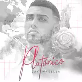 Image of Platónico