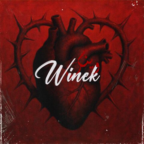 Winek album art