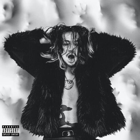 THE WALLS HAVE EYES album art