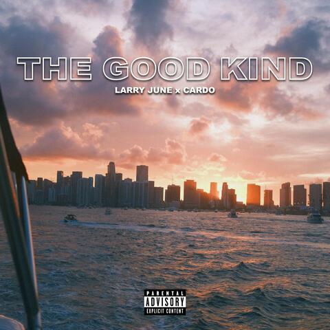 The Good Kind album art