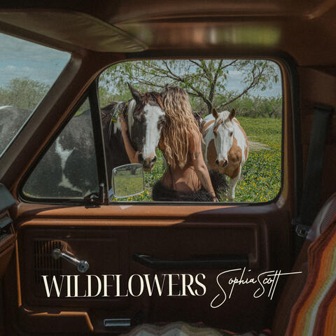 Wildflowers album art