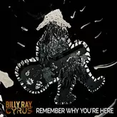 Image of Remember Why You're Here