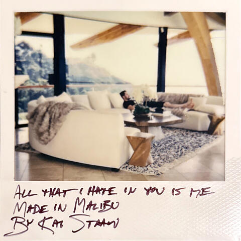 All That I Hate in You Is Me / Made in Malibu album art