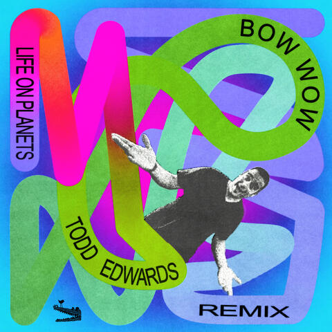 Bow Wow (Todd Edwards Remix) album art