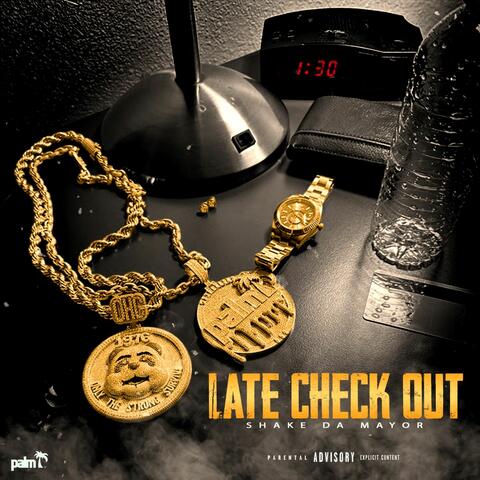 Late Check Out album art