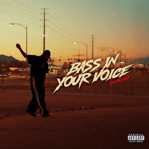 Bass In Your Voice album art
