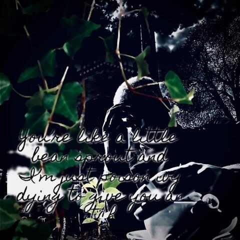 you're like a little bean sprout and i'm just poison ivy dying to give you an itch album art