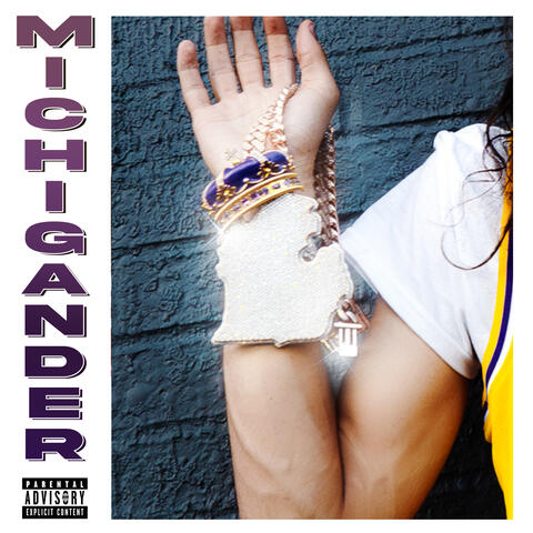 Michigander album art