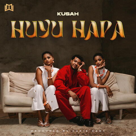 Huyu hapa album art