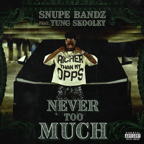 Never Too Much (feat. Yung Skooley) album art