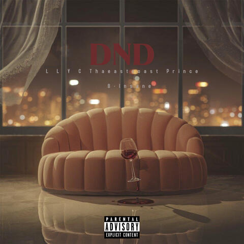 DND (feat. B-Insane) album art