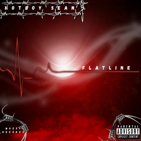 FLATLINE album art
