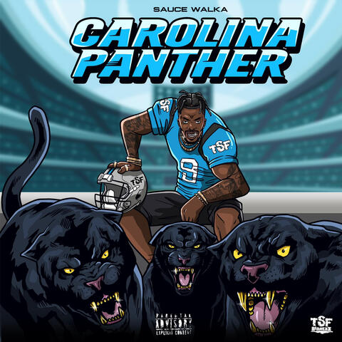 Carolina Panther album art