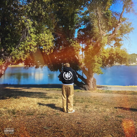Dim My Light album art