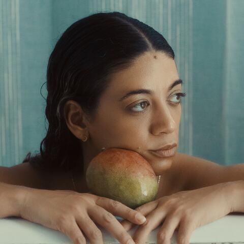 FRUIT album art