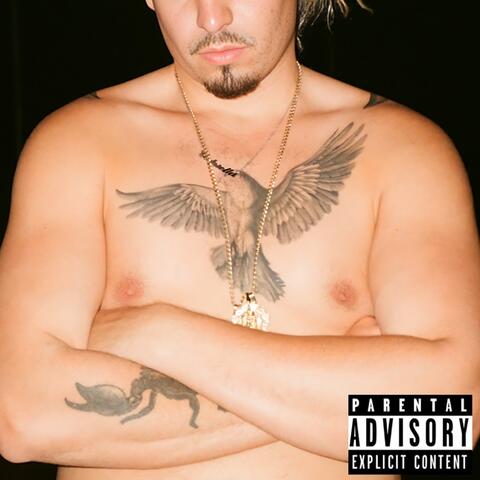 ALL4BIRDY album art
