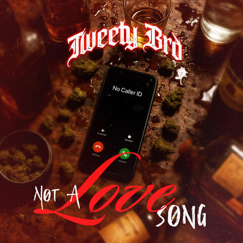 Not A Love Song album art