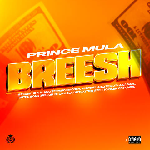 BREESH album art