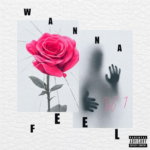 wanna feel album art