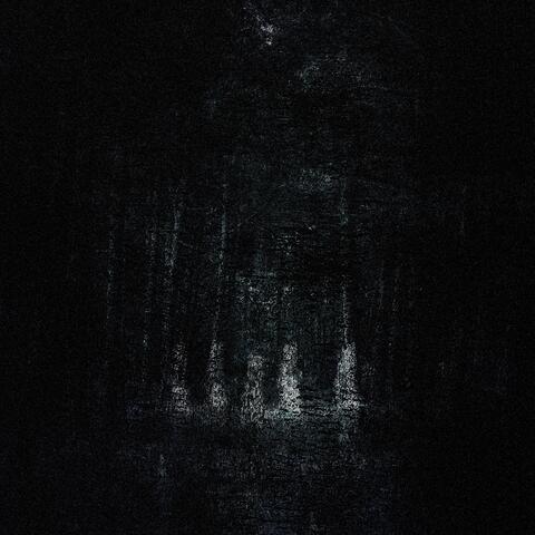 POUYA album art