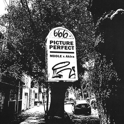 picture perfect album art